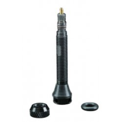 Schwalbe ventiel Tubeless 40mm (2)