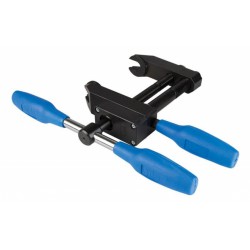 Cyclus trapaspers Gazelle V2