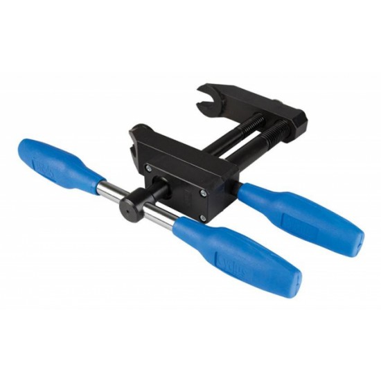 Cyclus trapaspers Gazelle V2