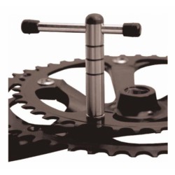 Cyclus bladbout sleutel