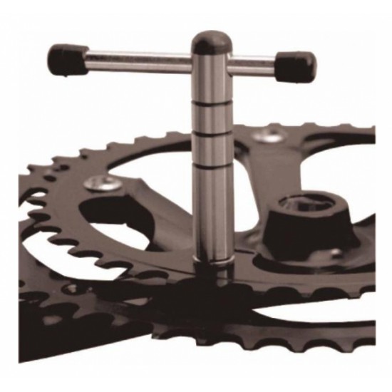 Cyclus bladbout sleutel