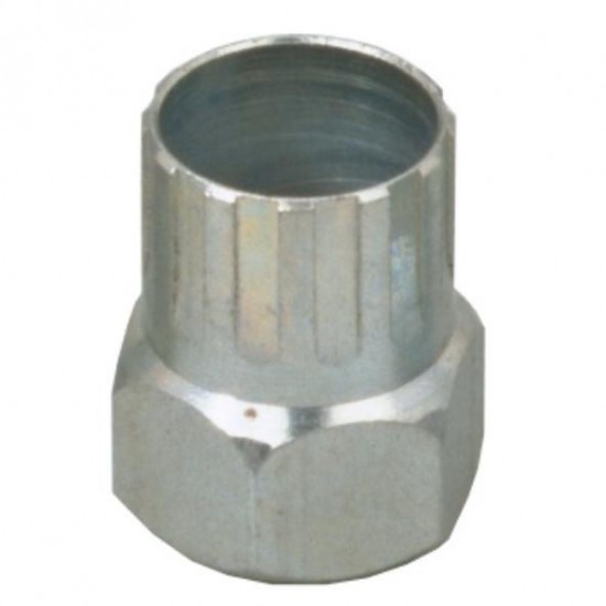 Cyclus pionafnemer Sachs Aris