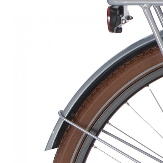 Cortina a spatb 28 U5 mouse