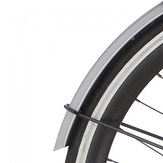 Cortina a spatb 28 M1 mouse