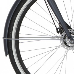 Cortina v spatb stang 28 Roots silver