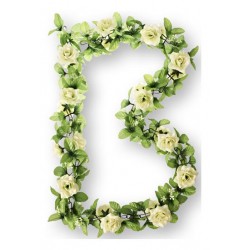 Basil bloemslinger rozen wt