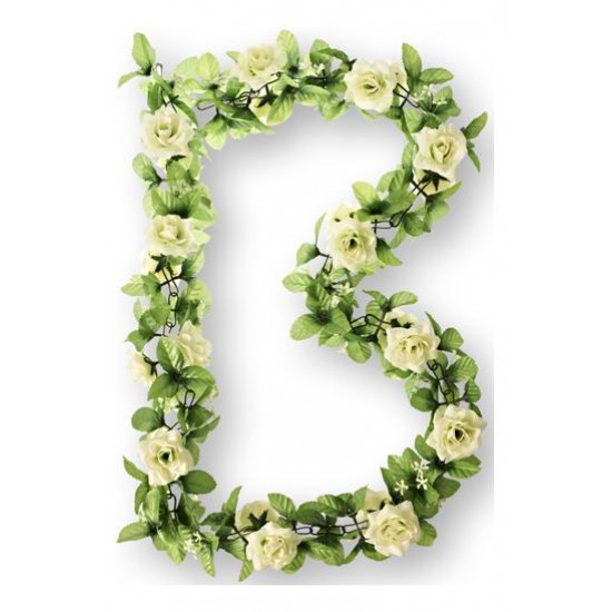 Basil bloemslinger rozen wt