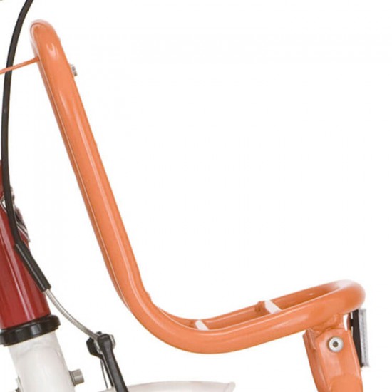 Alpina voordrager 16 Clubb PMS 165 oranje