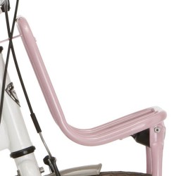 Alpina voordrager 24/26 Clubb 1895 roze