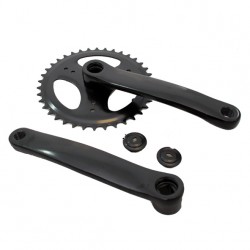 Alpina crankst 38t 170mm z/disk zwart