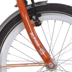 Alpina v vork 22 GP oranje