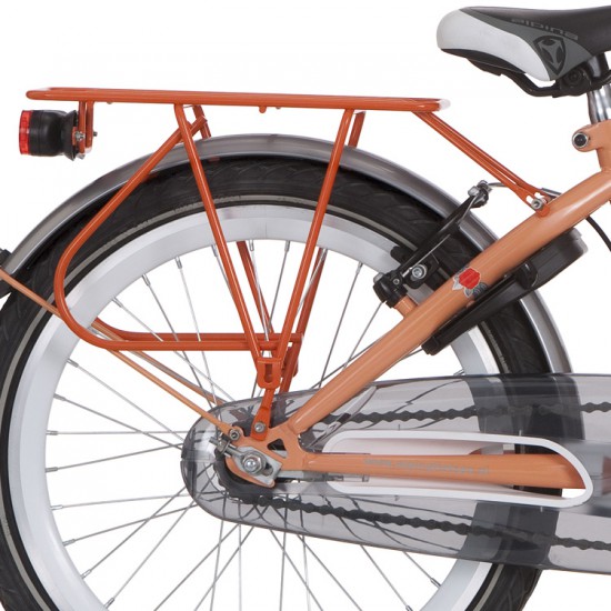 Alpina achterdrager 22 GP oranje