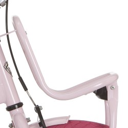 Alpina voordrager 22Clubb l roze