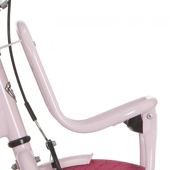 Alpina voordrager 22Clubb l roze