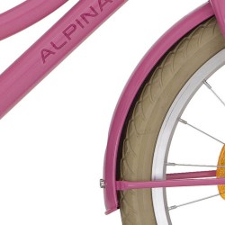 Alpina spatb set 18 Clubb persian rose