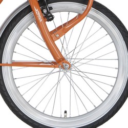 Alpina v wiel 20 J19SG zilver