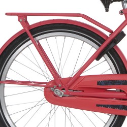 Alpina achterdrager 22 Cargo strawberry red