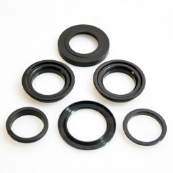 Dahon balh set geint