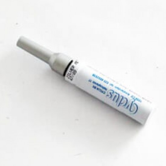 Cyclus lakstift zilver